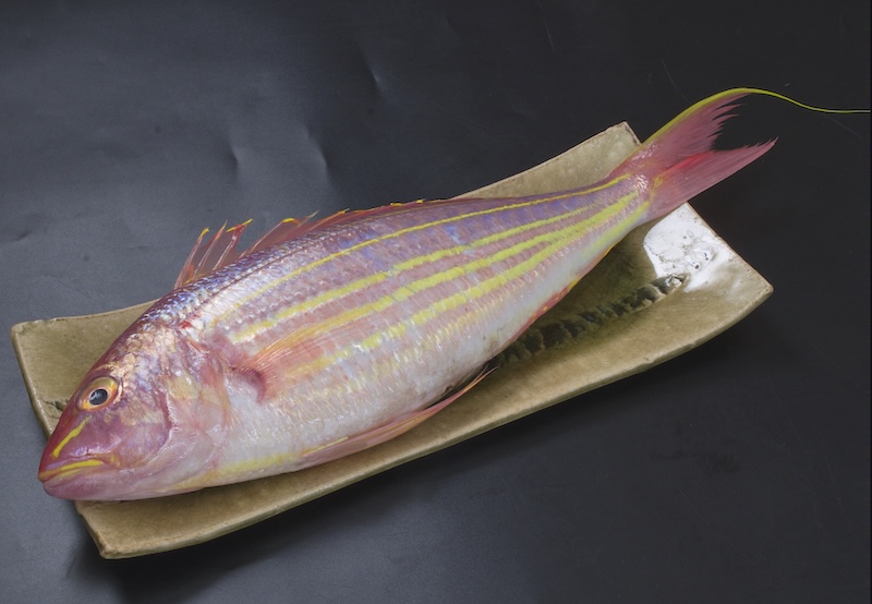 いとより鯛の全身写真