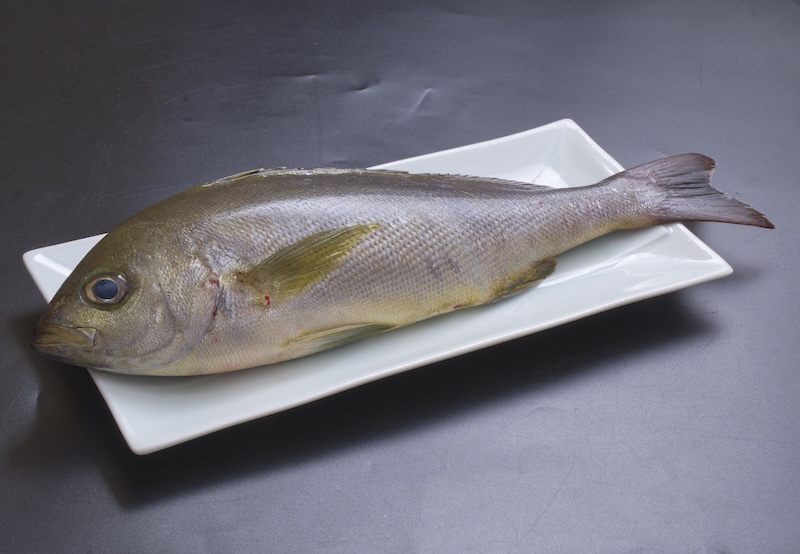 魚のイサキの写真
